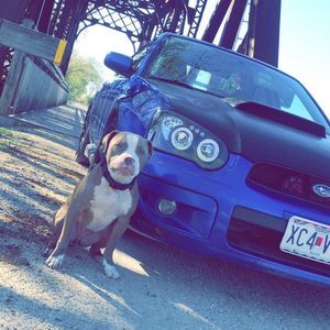 Meet your Posher, Dyson